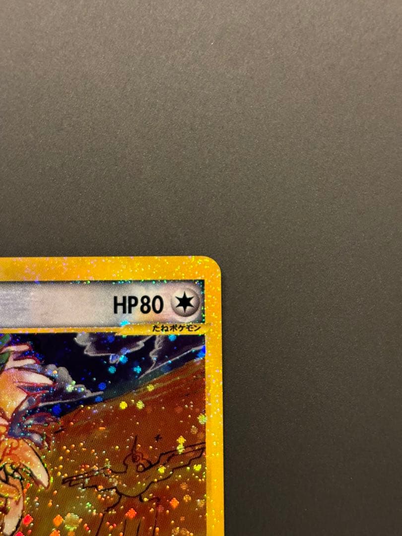 ホウオウ ★ 拡張パック第4弾 裂けた大地 091/088