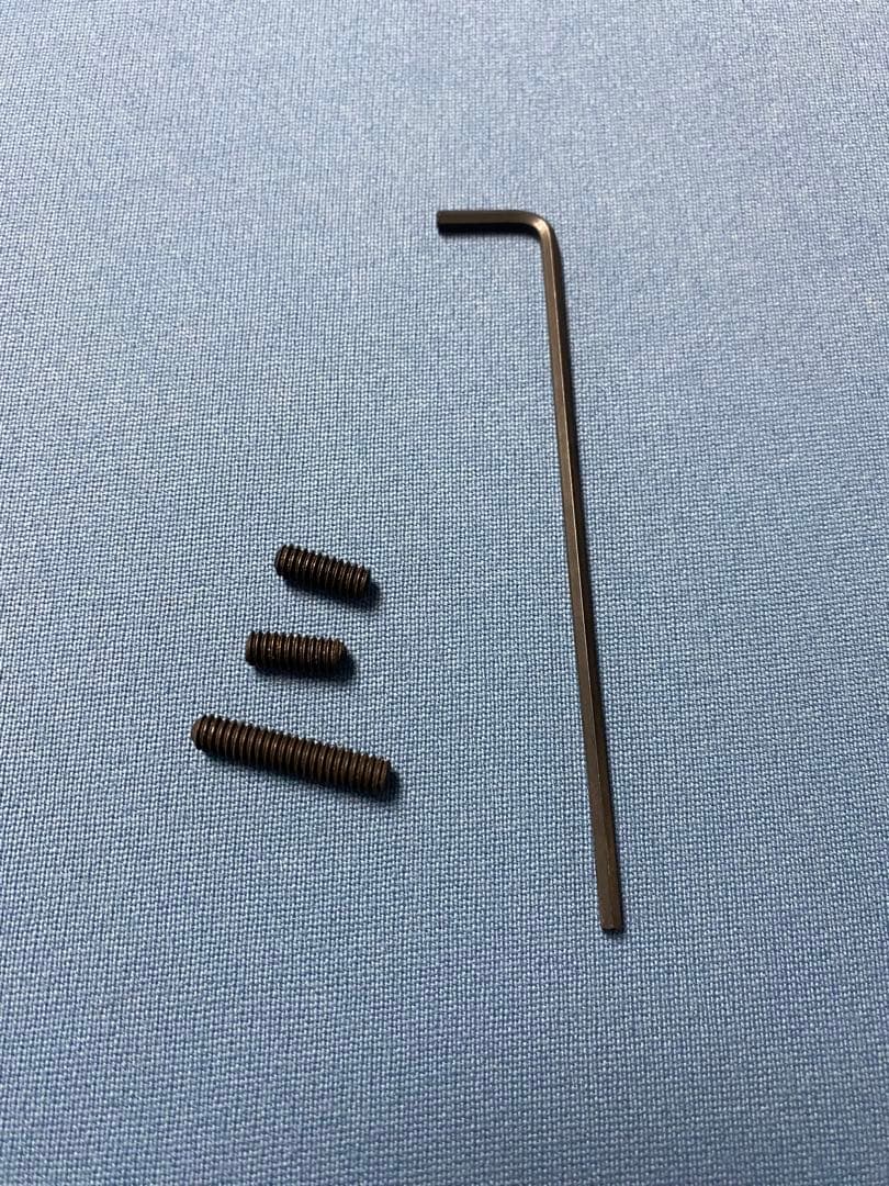 早川工房トリファイド　ハイロースト　カーリー1インチロング　18山　ウエイト付き