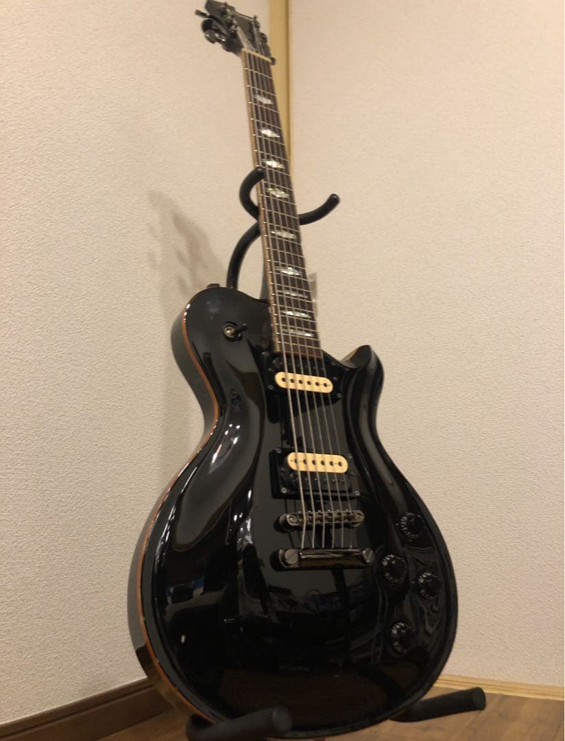 Fujigen Expert FL レスポール