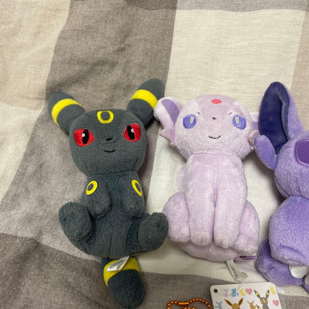 ブラッキー　エーフィ　ブースター　まとめ売り　セット売り　ポケモン　ブイズ