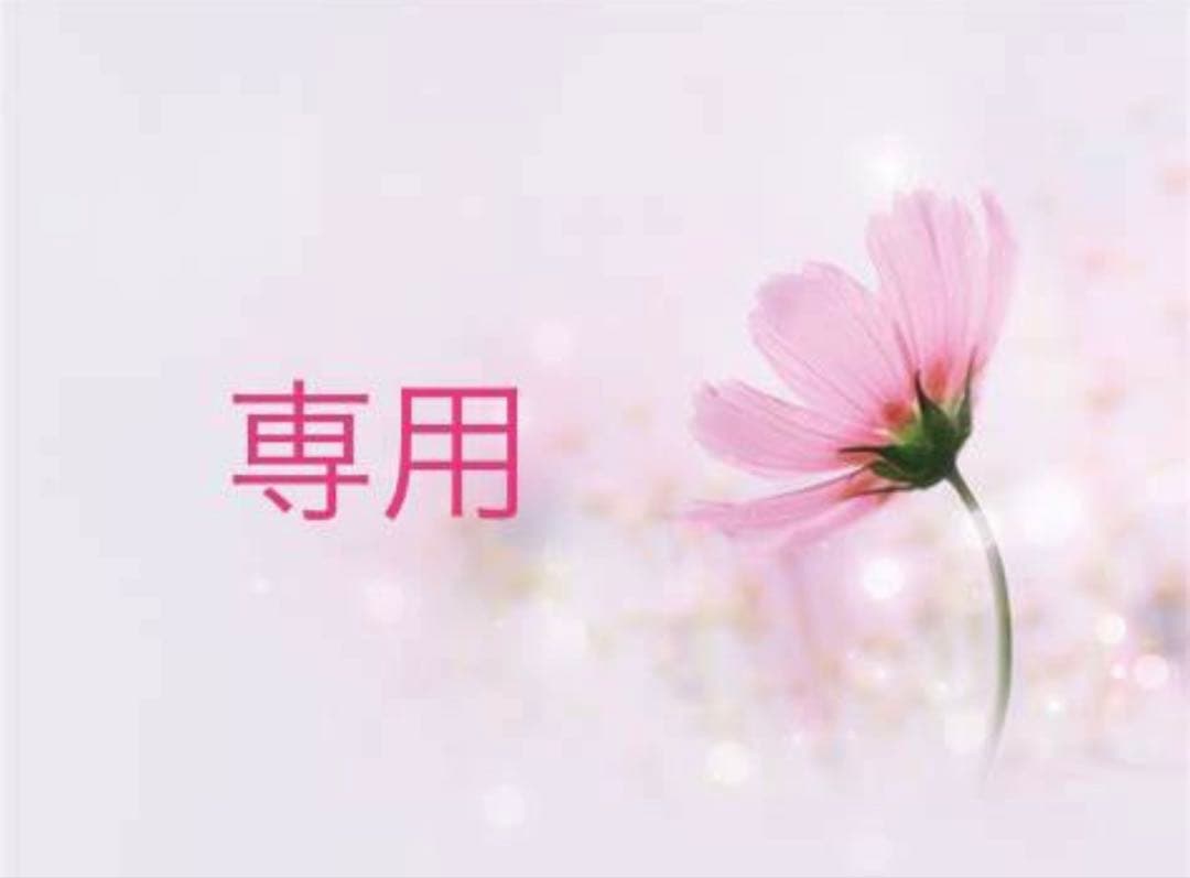 ときわ＊プロフ確認お願い致します＊様 リクエスト 4点 まとめ商品