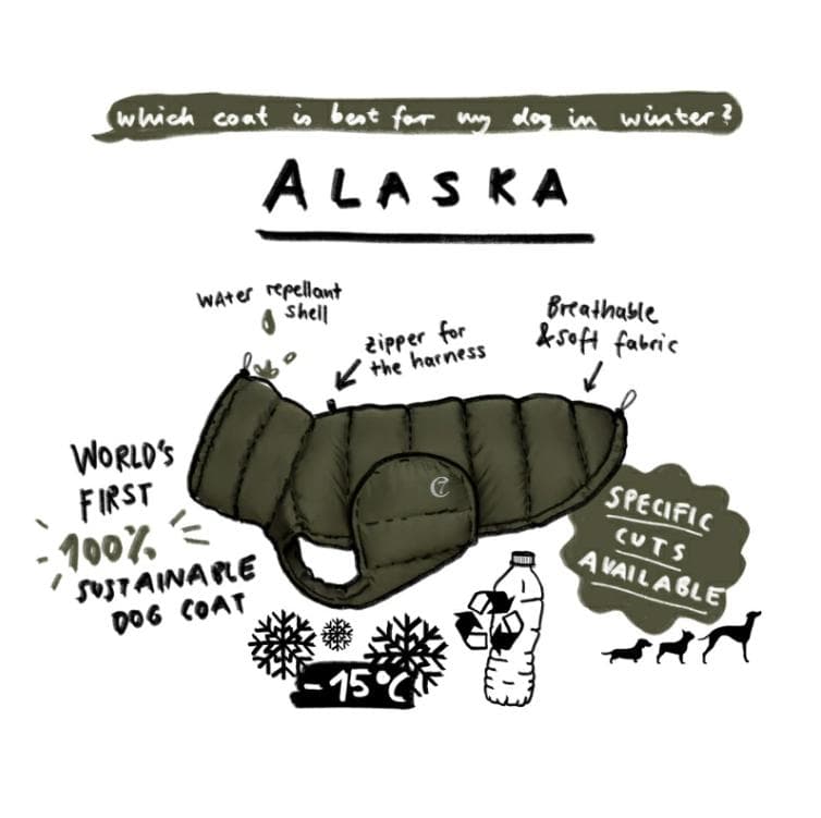 Dog Coat Alaska ドッグコート アラスカ Light Olive