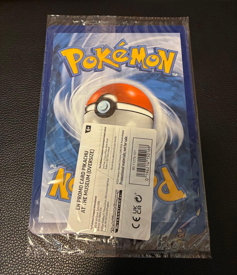 Pikachu at the Museum ピカチュウ ロンドン自然史博物館18