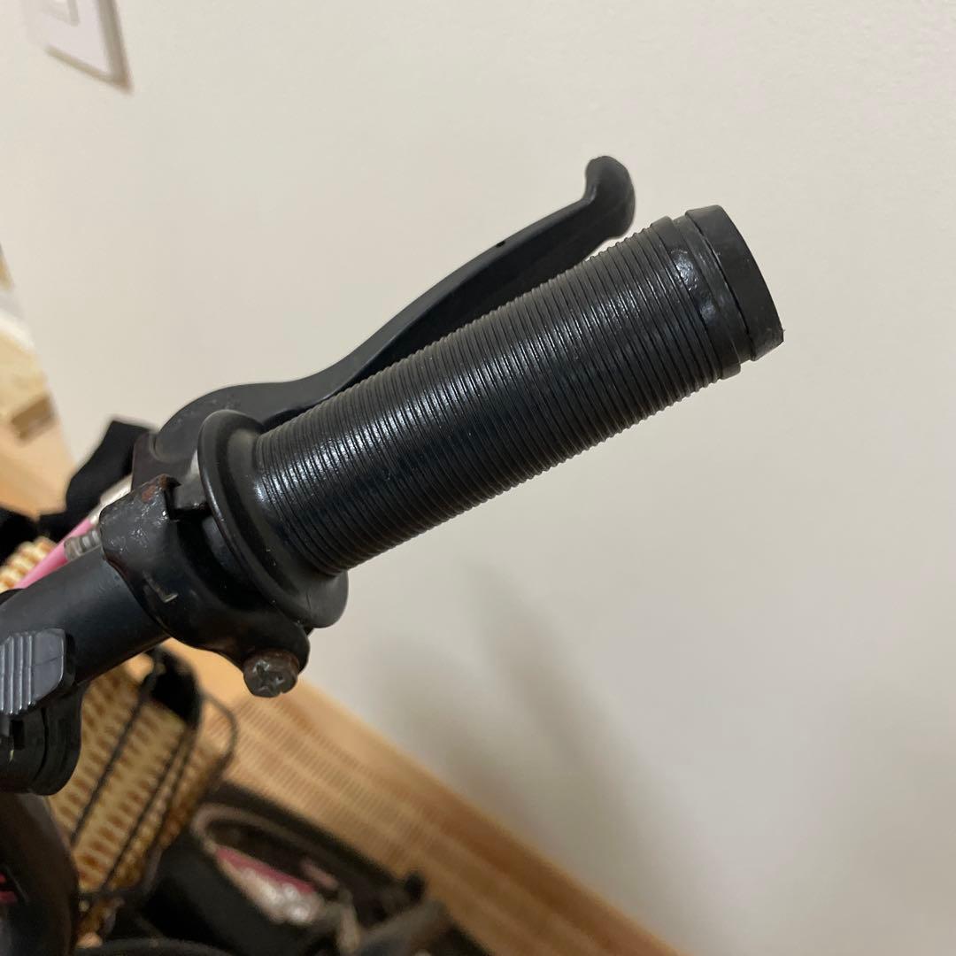 【引き取り限定】16インチ　DUALLY自転車