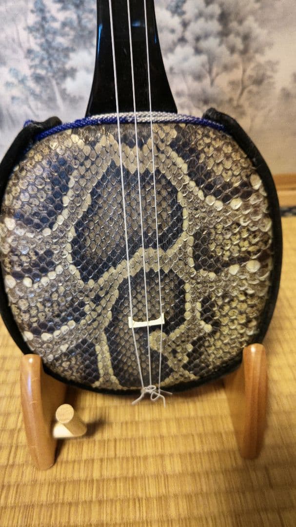 沖縄三線　本皮　蛇皮　 ソフトケース付　　黒塗