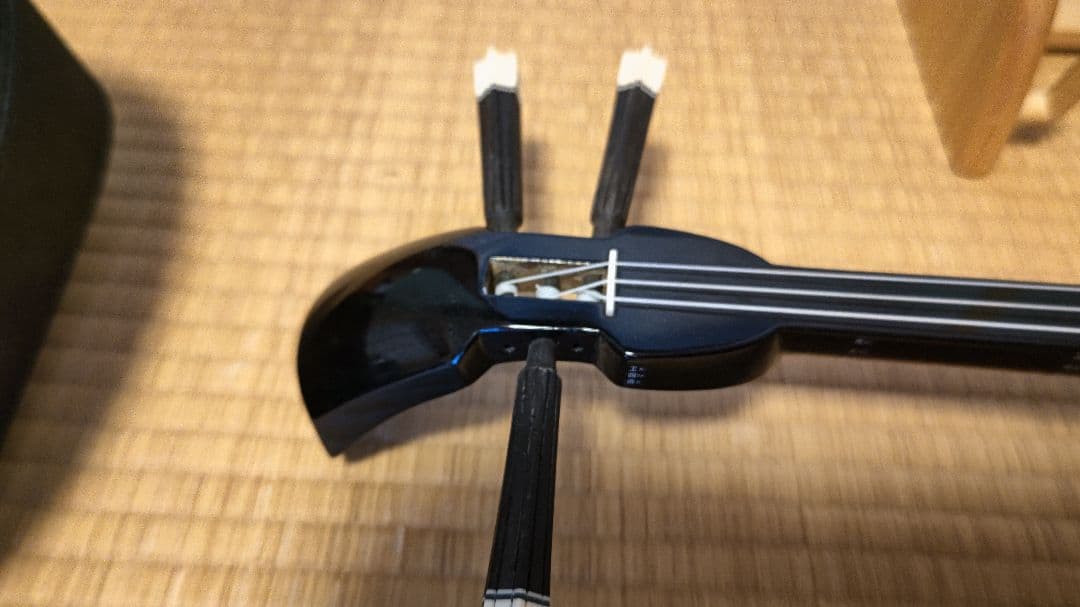 沖縄三線　本皮　蛇皮　 ソフトケース付　　黒塗