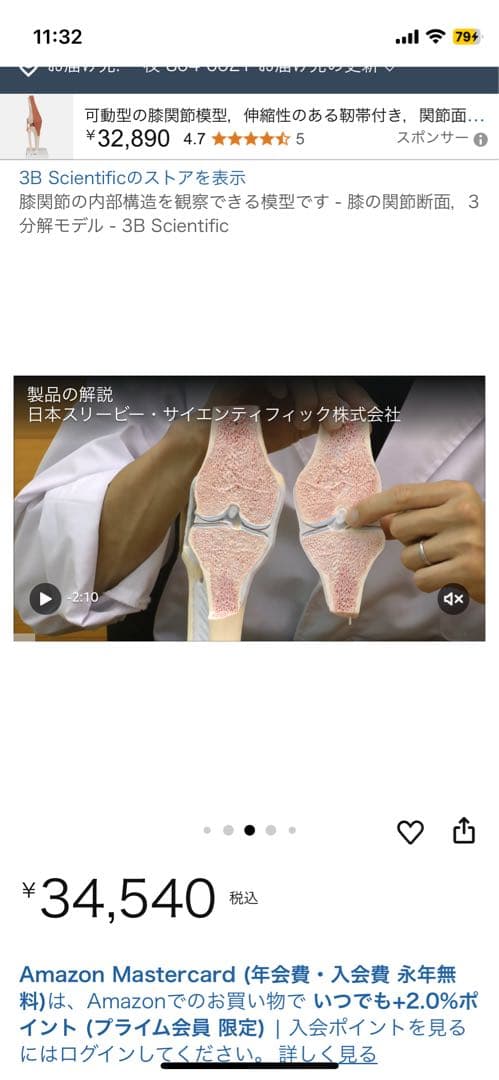 膝関節模型 3B 膝関節断面モデル