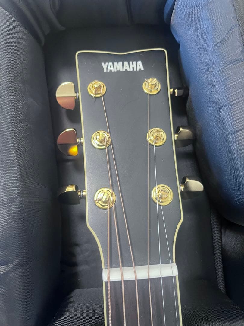 ギター Yamaha LL16D Black