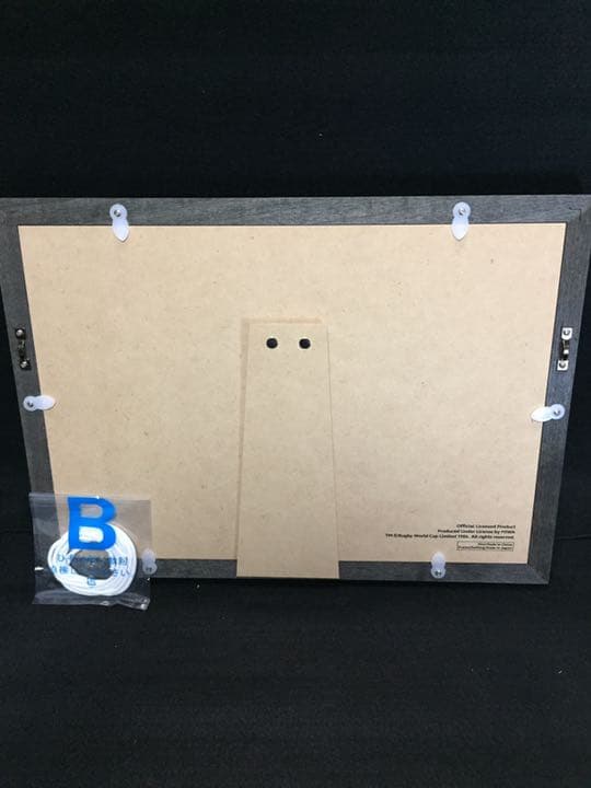 ★シリアルNO入★日本代表直筆サイン入ラグビーワールドカップ記念ピンズフレーム