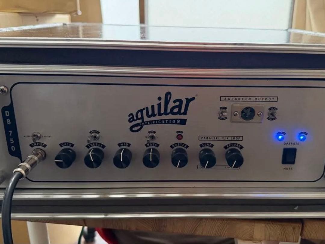 aguilar DB750 ベース用アンプ ショックマウントケース付 アギュラー