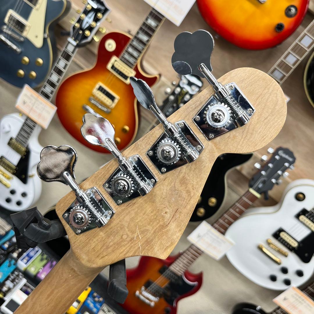 ケース追加【11205】【左利き用】 Legend by Aria Pro II