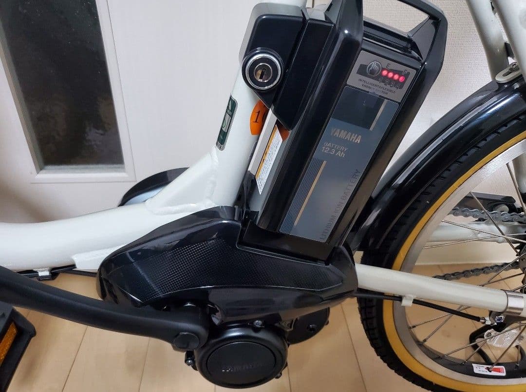 【総額190000円】YAMAHA PAS CITY-C フルカスタム品