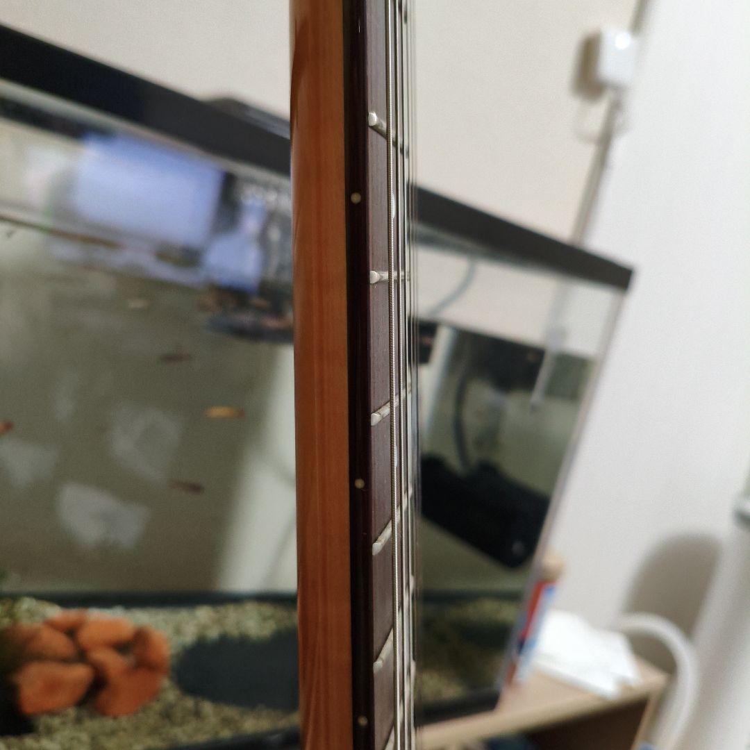 PACIFICA PAC612VIIFM(ソフトケース付