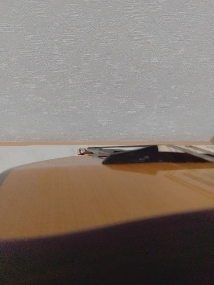 石川マンドリン 森 篤 2015年 No.260 オーダー品 本体 エンベルガー