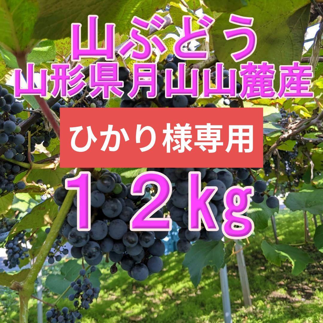 山ぶどう １2㎏　山形県月山山麓産⑩