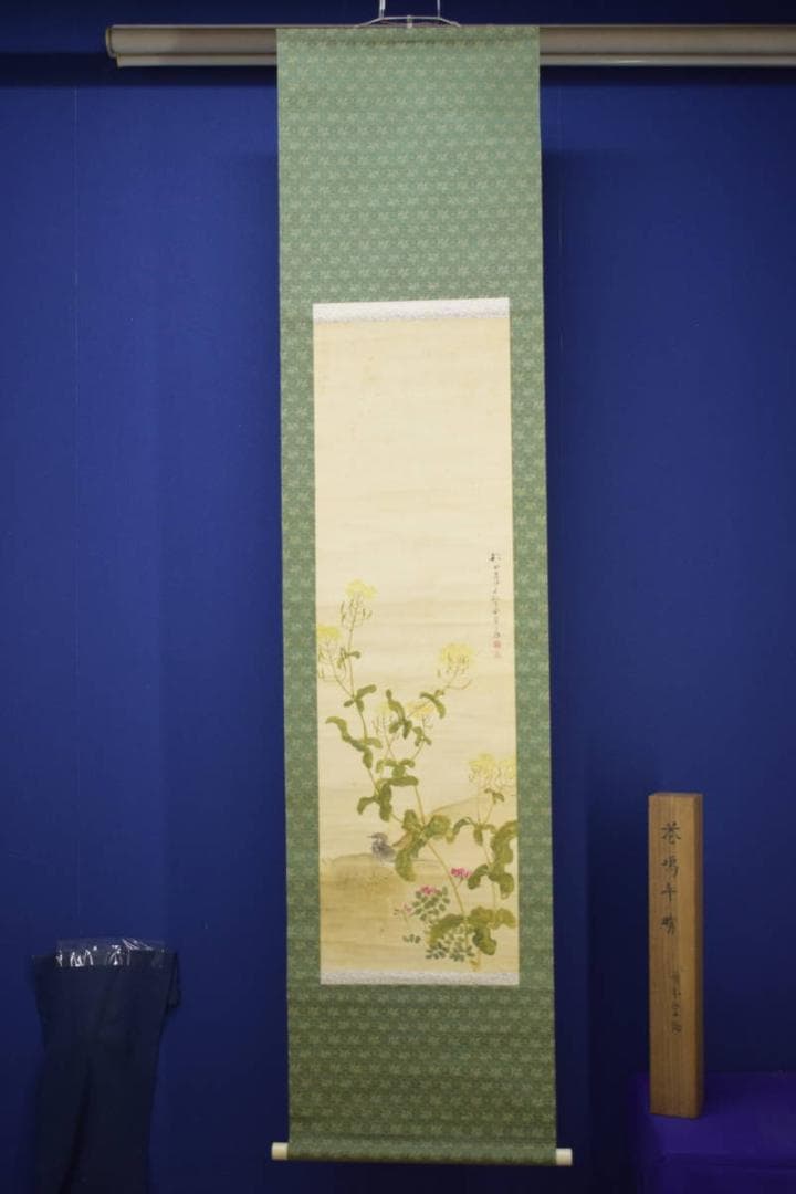 真作/藤井松山/塢午晴/菜の花/小禽図/桐共箱付/布袋屋掛軸HJ-48