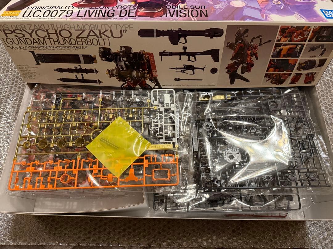 MG 1/100 高機動型ザク“サイコ・ザク” Ver.Ka サンダーボルト版