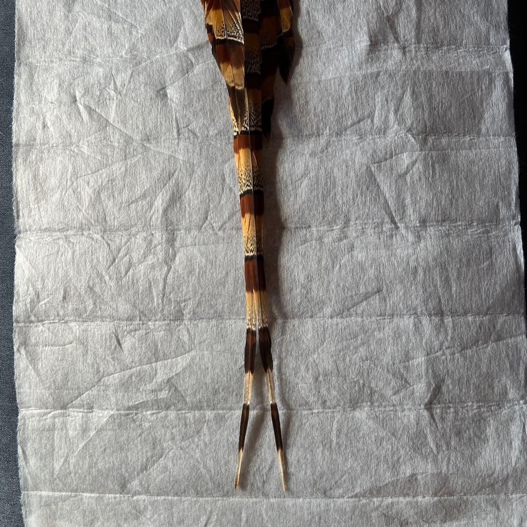 ヤマドリの羽　尾羽、翼左右の3点セット