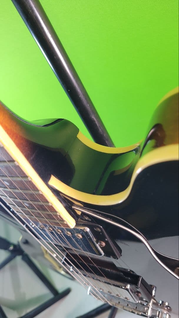 The Samick エレキギター フルホロウボディ