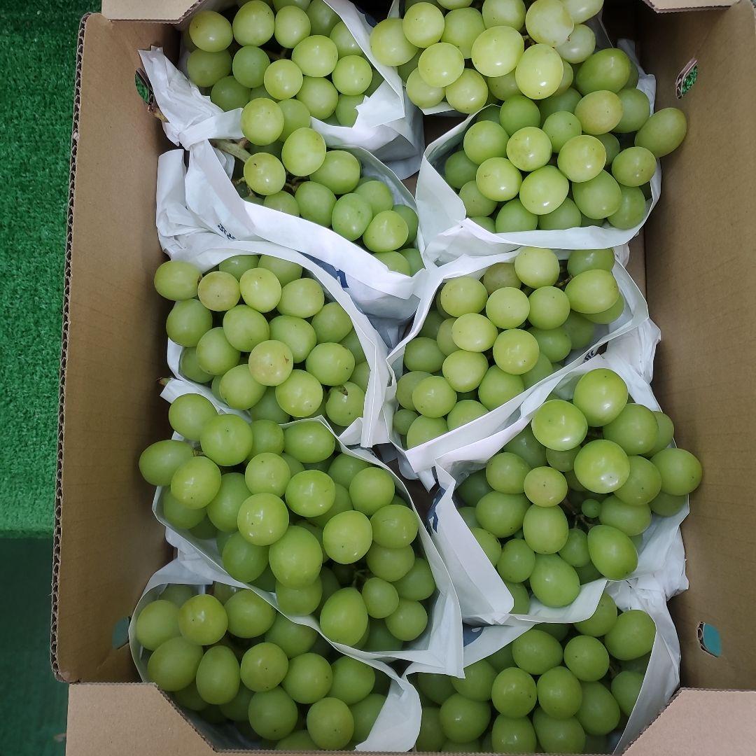 4️⃣ 山梨県産 激甘シャインマスカット１０房入り 込み５キロ