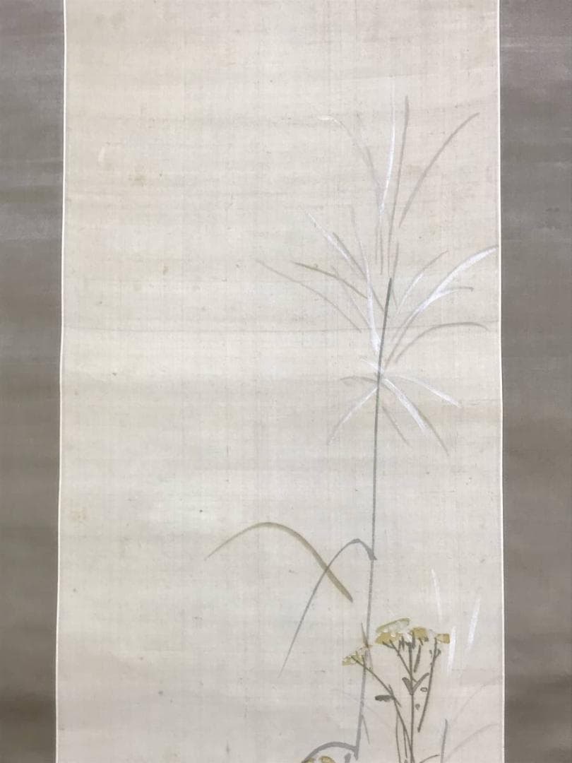 谷文晁/秋草花図/草花図/花鳥図/掛軸/名家伝来/AE-126