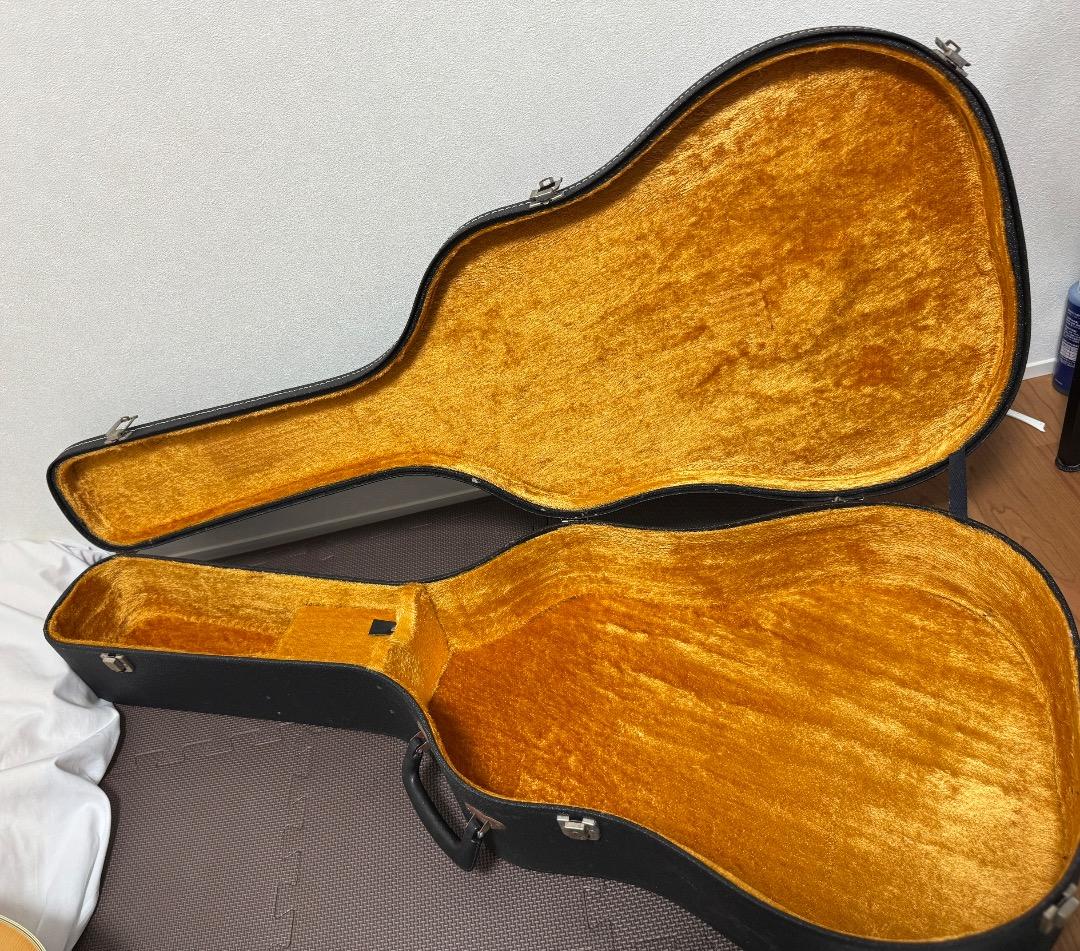 ヤマハギターFG-251B