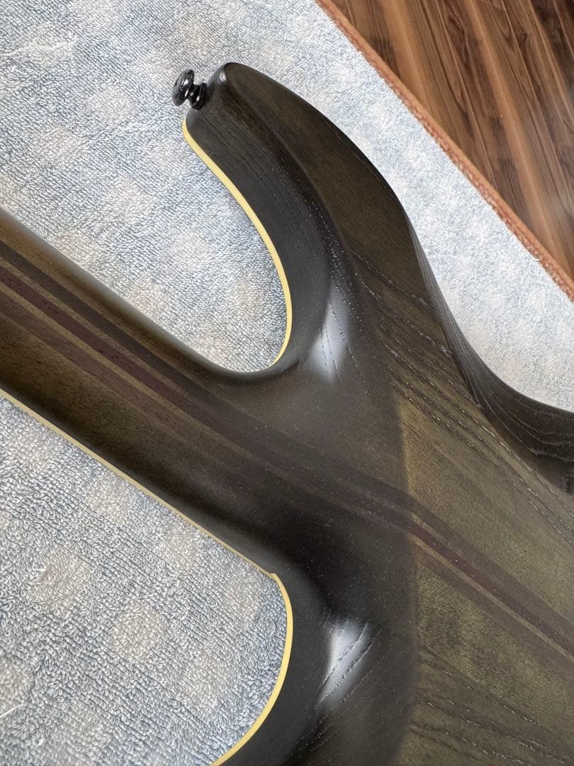 SCHECTER シェクター エレキギター C-1 SLS Evil Twin