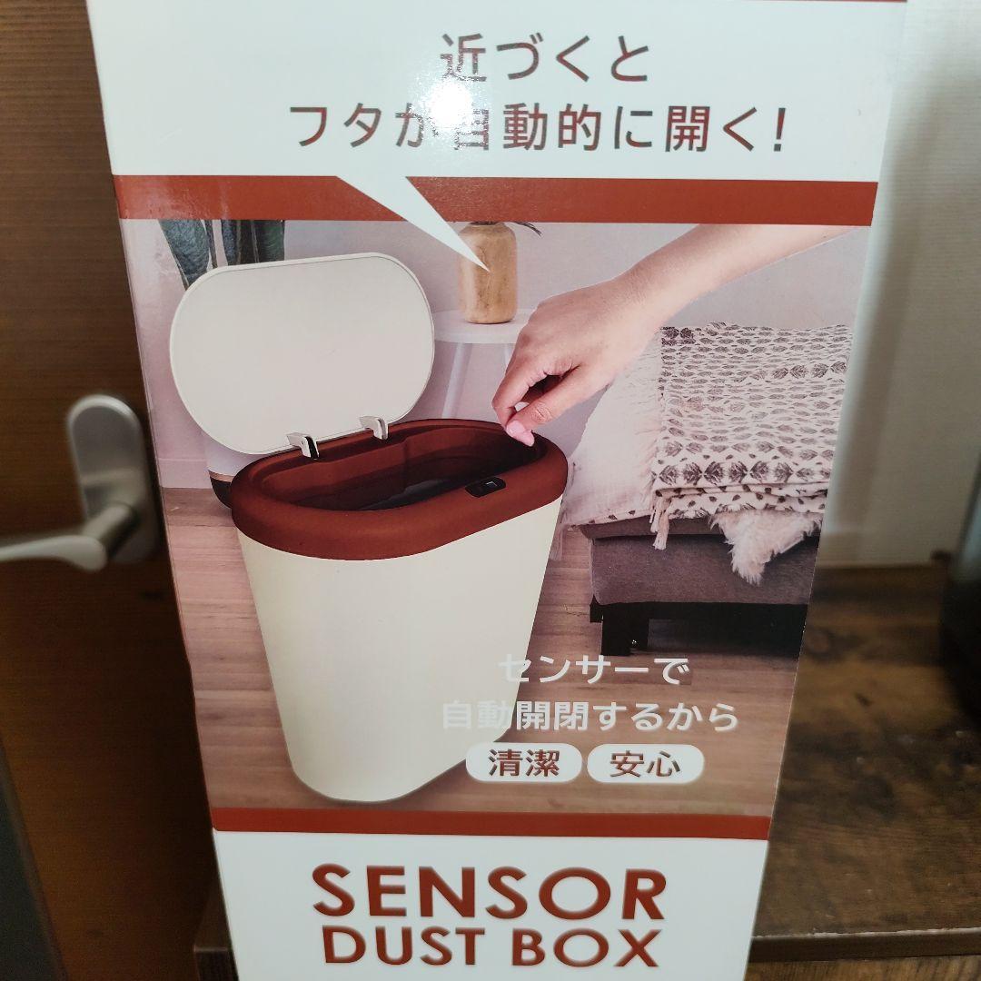 新春お年玉福箱【レジかごバッグ】