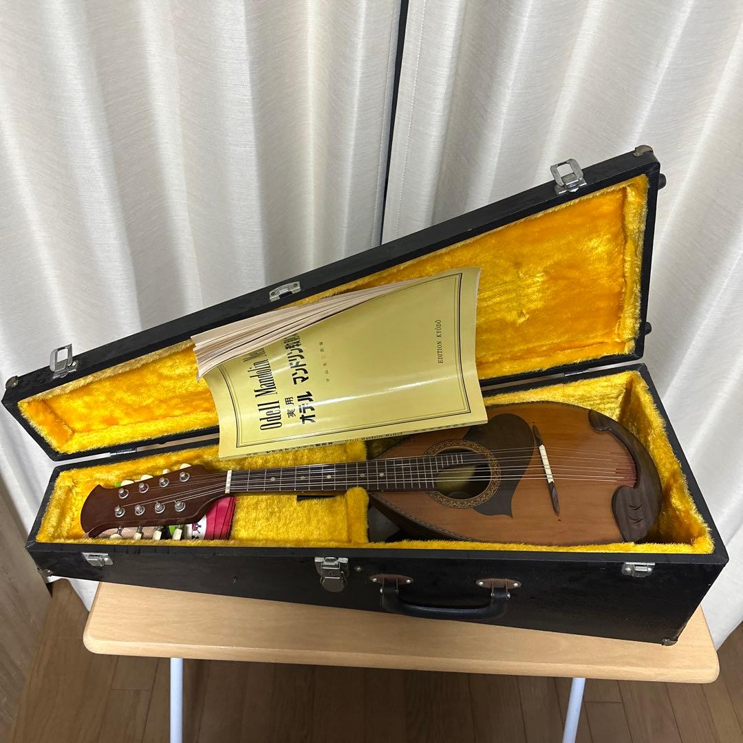 【ハードケース付き】スズキ SUZUKI マンドリM-215