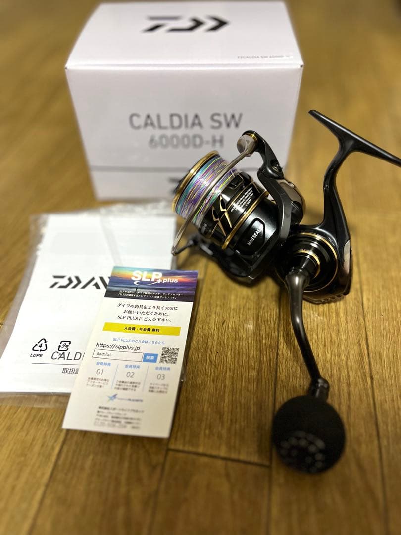 CALDIA SW 6000D-H （PE3号付き）