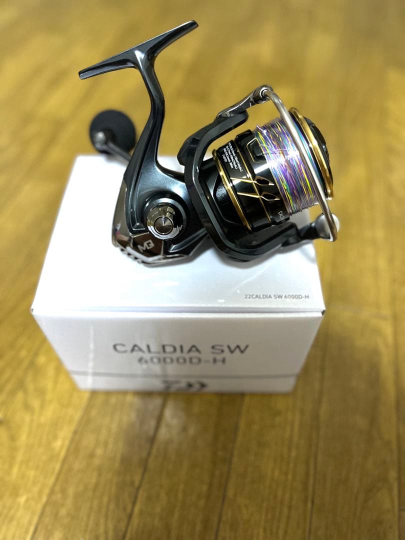 CALDIA SW 6000D-H （PE3号付き）