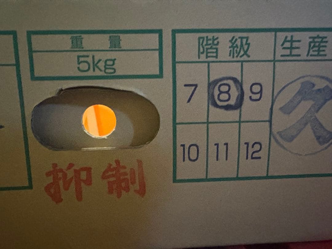 長野県産　シャインマスカット　8房セット　5kg 秀品！