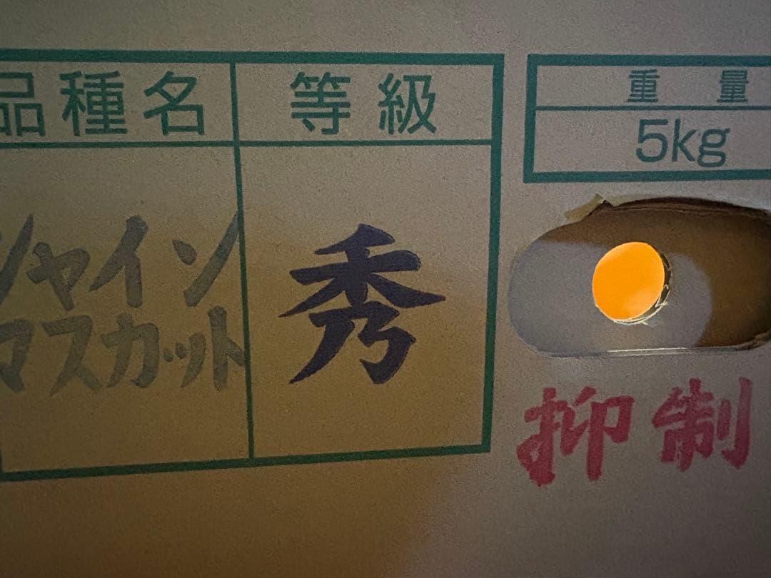 長野県産　シャインマスカット　8房セット　5kg 秀品！