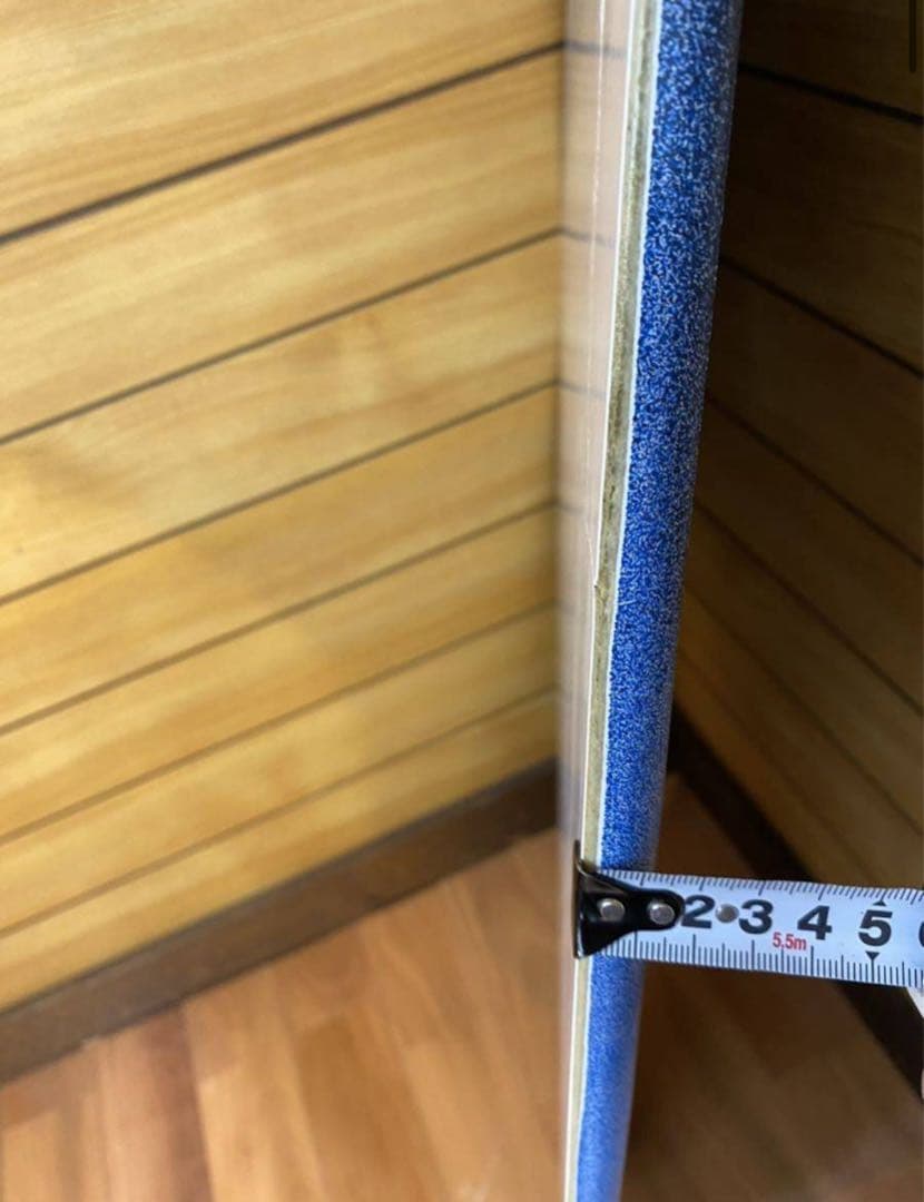 レア！　ZAP スキムボード　波乗り　サーフィン