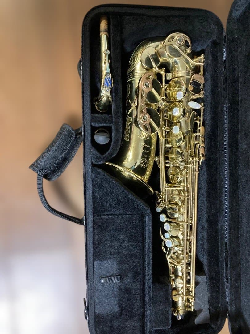 PROTEC PB304 アルトサックス セミハード ケース