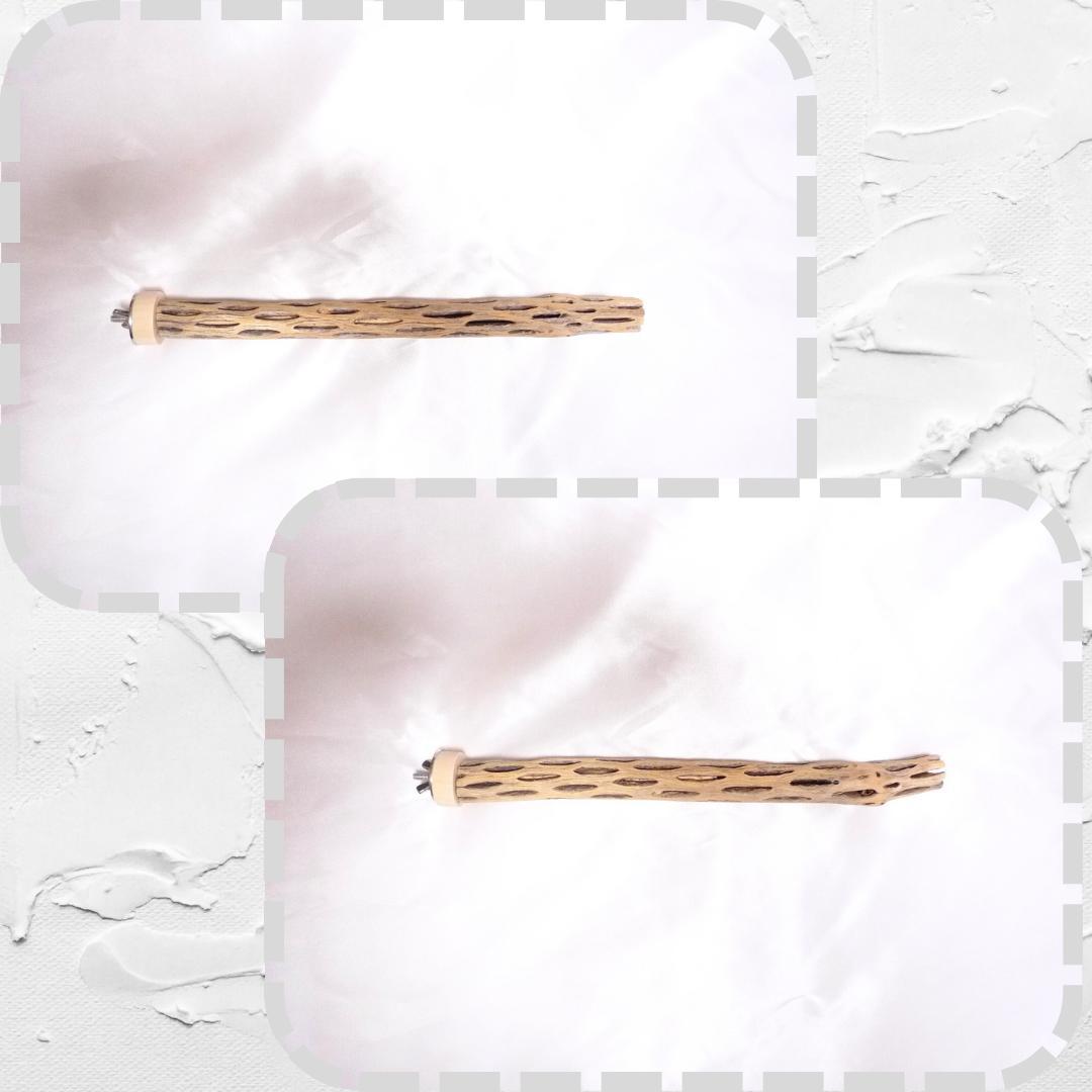 鳥用品　止まり木　カクタス　スケルトン　パーチ　太めNo.239