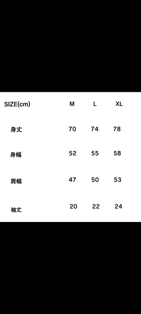 電気グルーヴ　みんなと未来とTシャツと大五郎　Tシャツ　Lサイズ