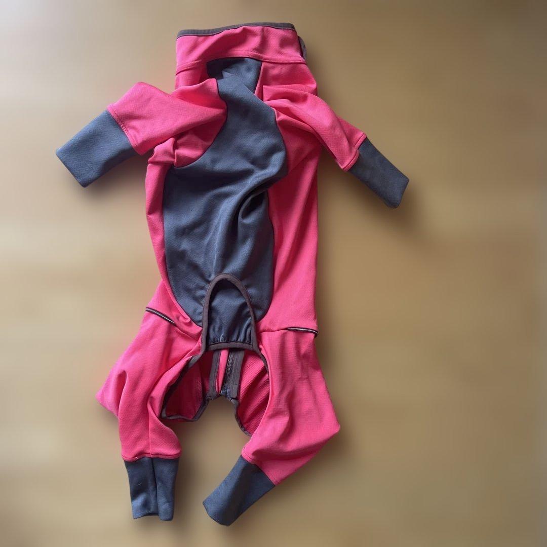 アルファアイコン　ダブルフルドッグガード　3L