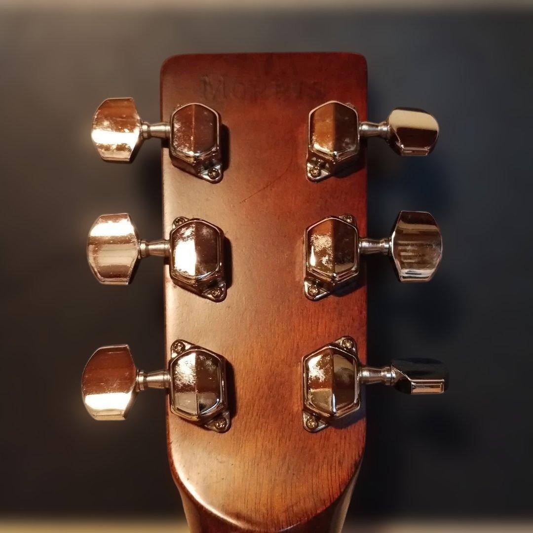 Morris アコースティックギター F-18