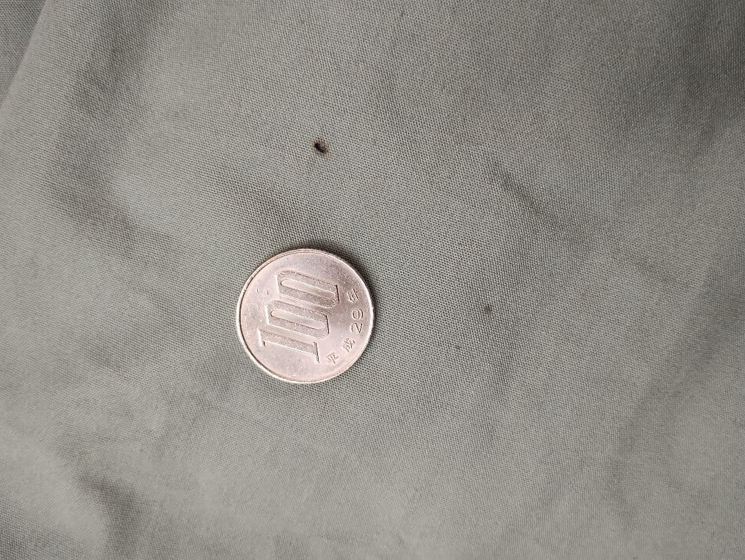 【値下】tent-Mark Designs サーカスTCDX ダックグリーン