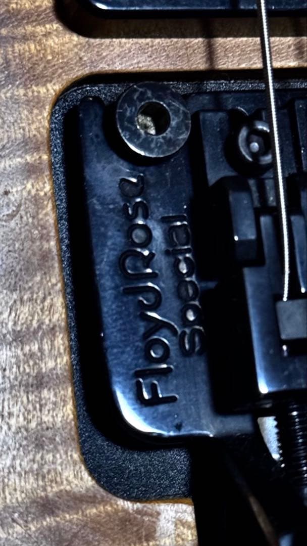 Washburn N4 USA MapleTop 直筆サイン入り 1997年製