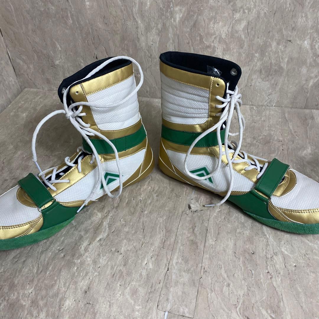 リミテッドカラー Adams アダムス Vプロ WBCモデル US13 31cm