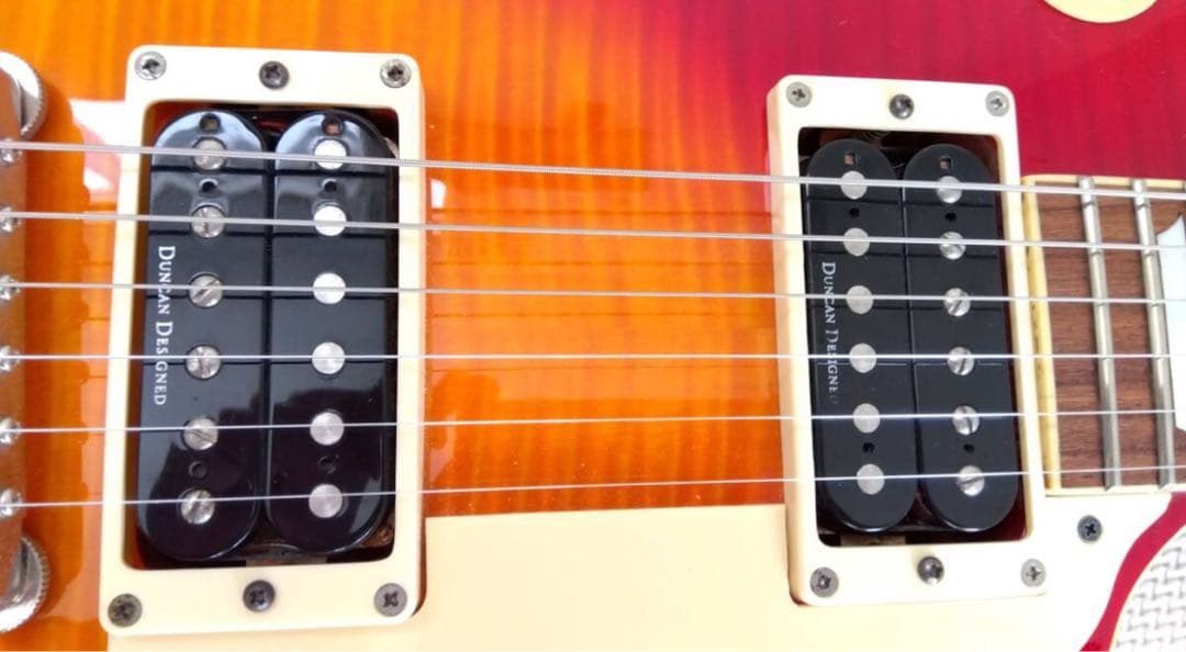 Burny レスポールタイプ エレキギター