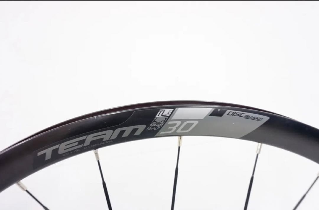 Vision TEAM30 DISC 未使用
