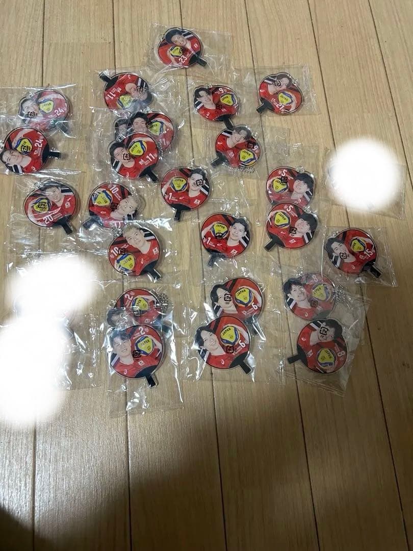 男子バレーガチャモバガチャカプくじカードマグネット