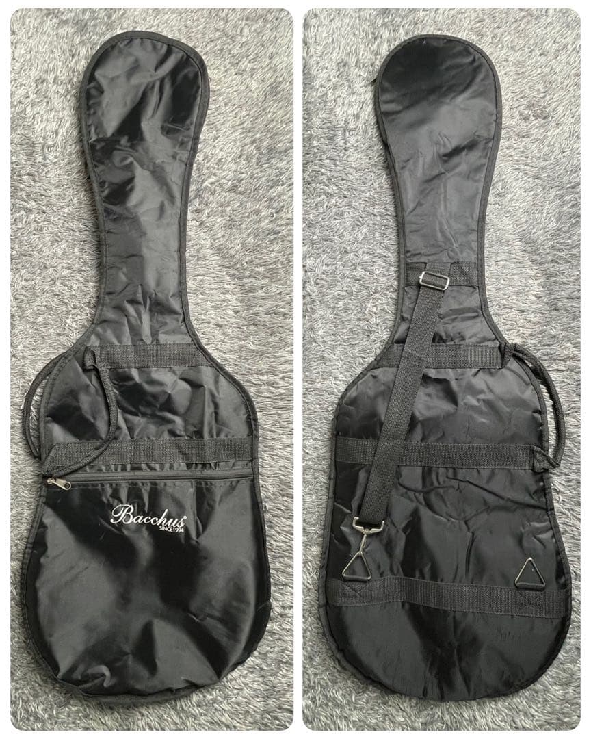 ギター Bacchus HTC-ALL BLACK