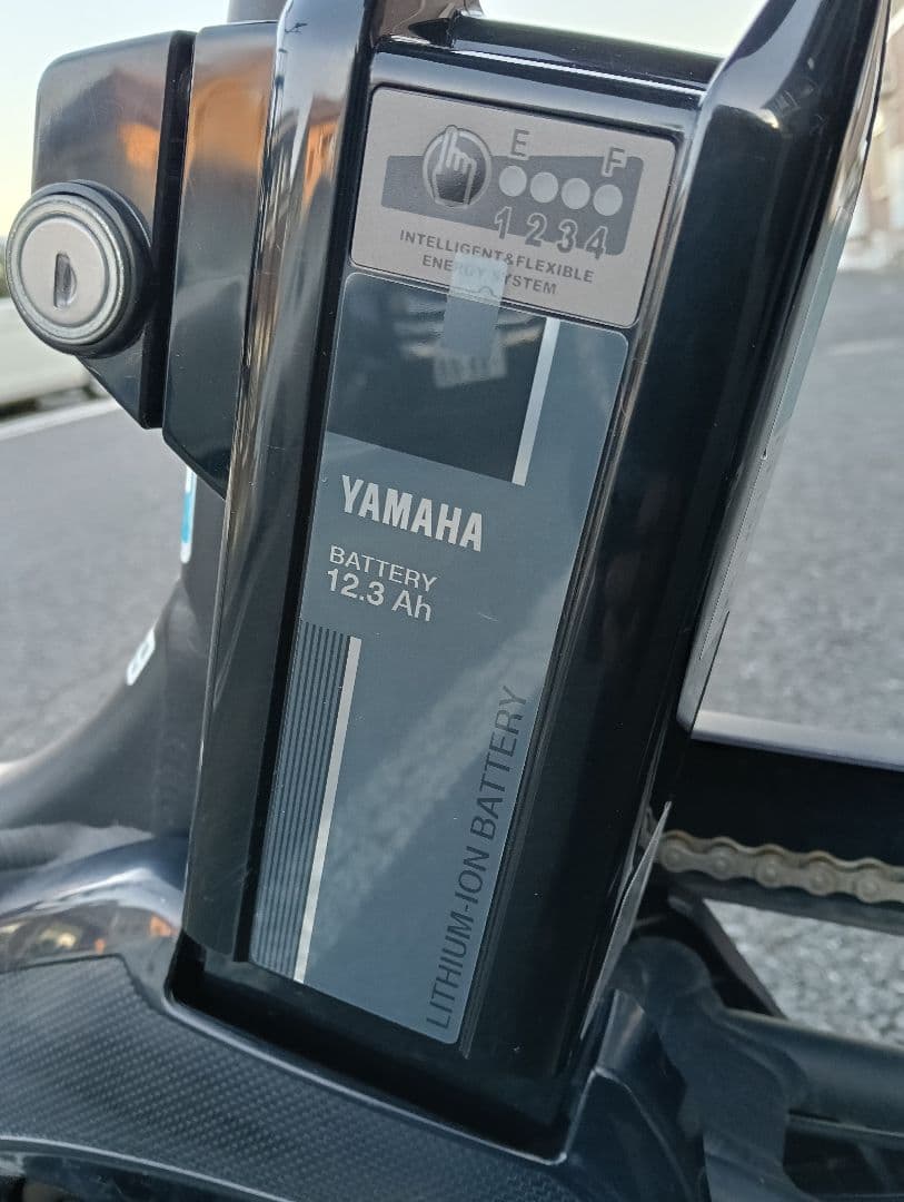 電動アシスト自転車 チャイルドシート付き