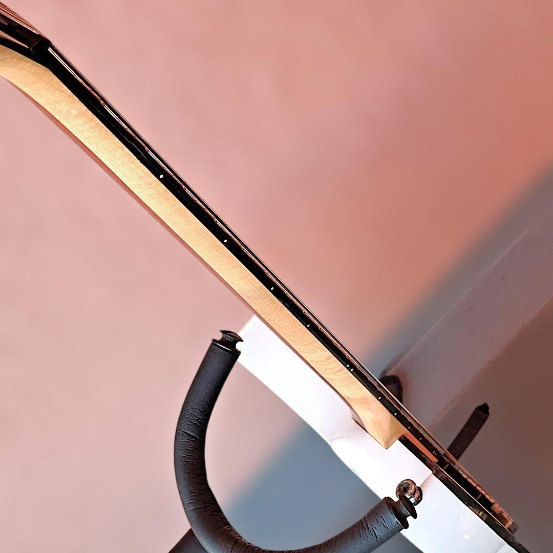 ■Ibanez RGIR20FE EMG 81 60 アイバニーズ