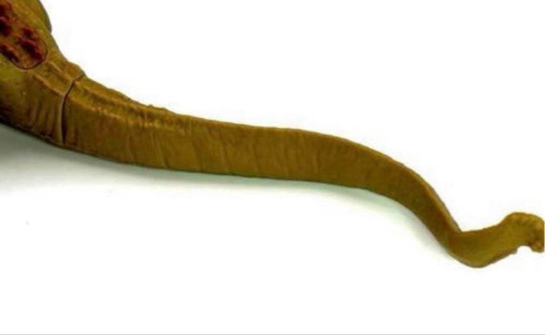 シン・ゴジラ 2016 ムービーモンスター 第ニ形態　第三形態　セット ソフビ