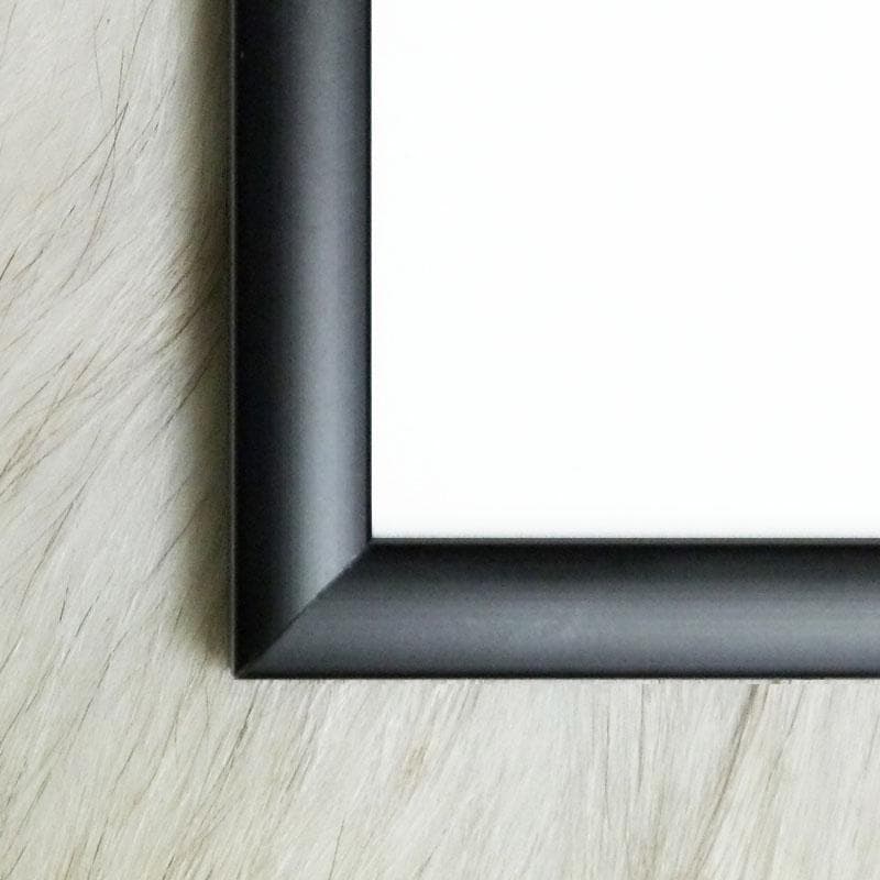 額装品/Sunglasses サマーピクニック 2005/ハーマンミラー